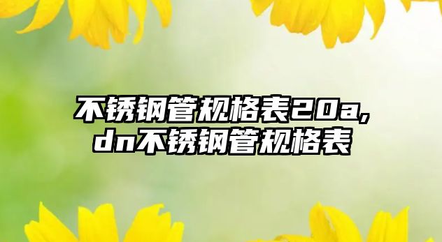 不銹鋼管規(guī)格表20a,dn不銹鋼管規(guī)格表